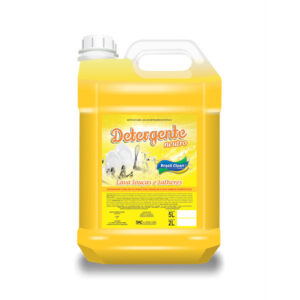 detergente neutro brasil clean 5 lts